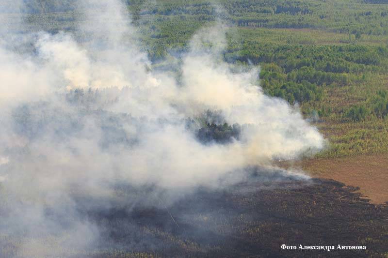 Курганская область получит почти 5 млн рублей на борьбу с лесными пожарами