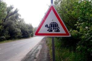 В Украине вводят дорожный знак "Осторожно! Мины!"