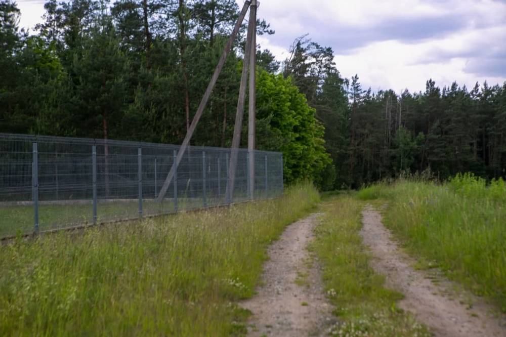 Литва готова построить ограждение на всей границе с Беларусью