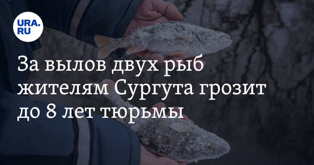 За вылов двух рыб жителям Сургута грозит до 8 лет тюрьмы