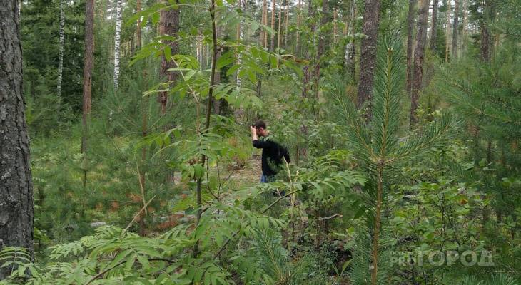 Спустя два дня полиция нашла пропавшего чебоксарца: он ночевал в лесу