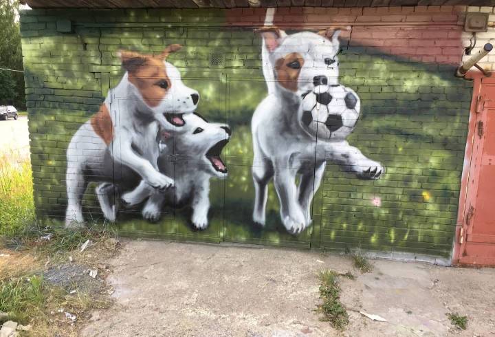 В Сосновом Бору появилось футбольное граффити с милыми щенками