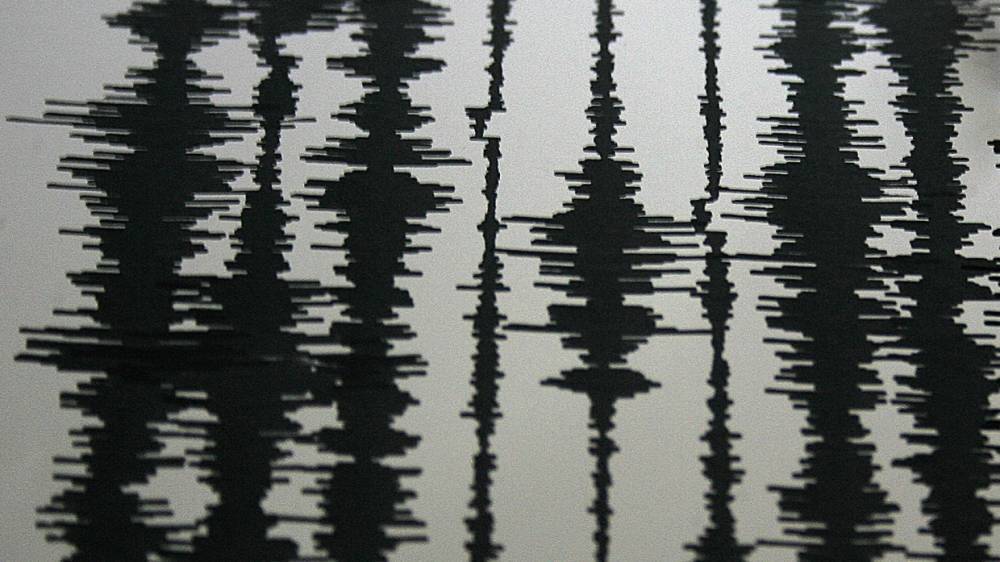 Сейсмологи зафиксировали землетрясение магнитудой 3,9 в Туве