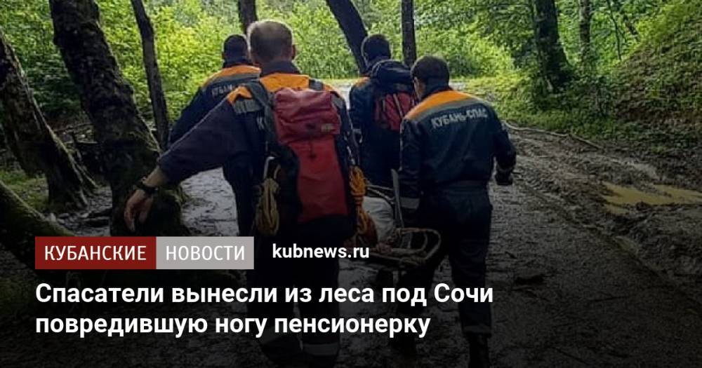 Спасатели вынесли из леса под Сочи повредившую ногу пенсионерку