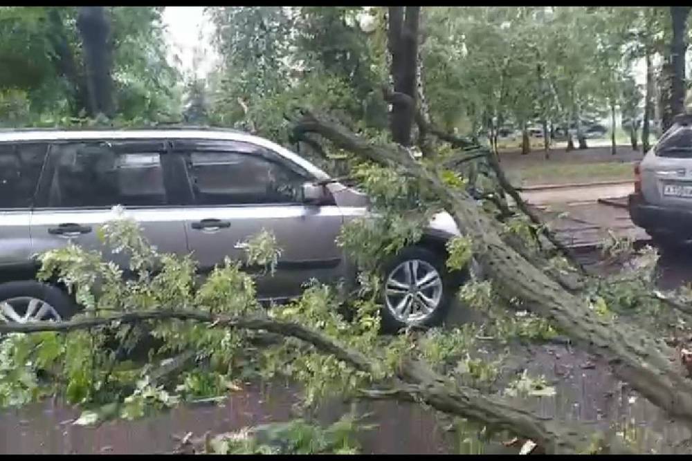 В центре Донецка на машину упало дерево