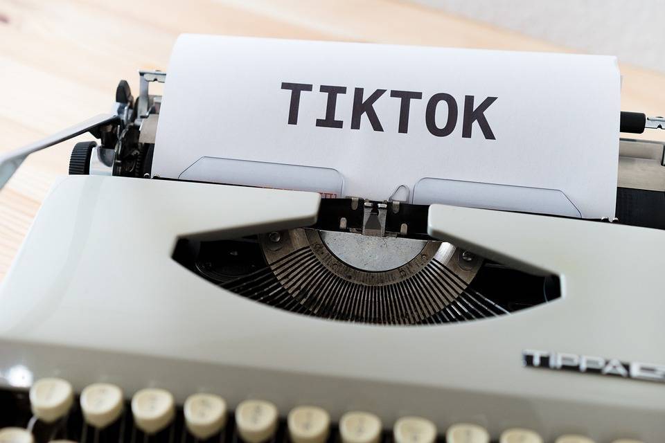 В Колпино появится TikTok-хаус за счёт городского бюджета