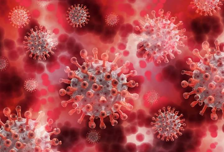 Роспотребнадзор сообщил о создании единой базы данных о мутациях коронавируса