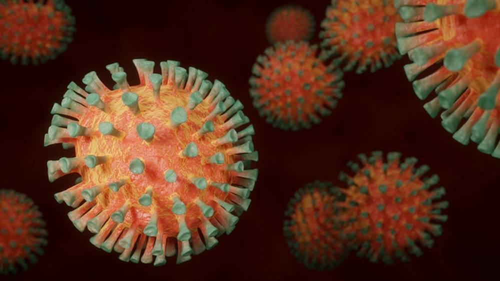 В России выявили более 14 тысяч мутаций коронавируса