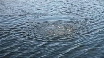 В Кубенском озере обнаружили тело вологжанина