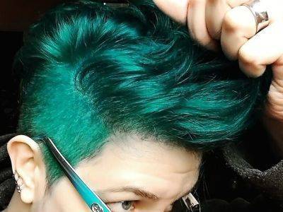 Студенту колледжа удалось отменить снижение оценки диплома за зеленые волосы