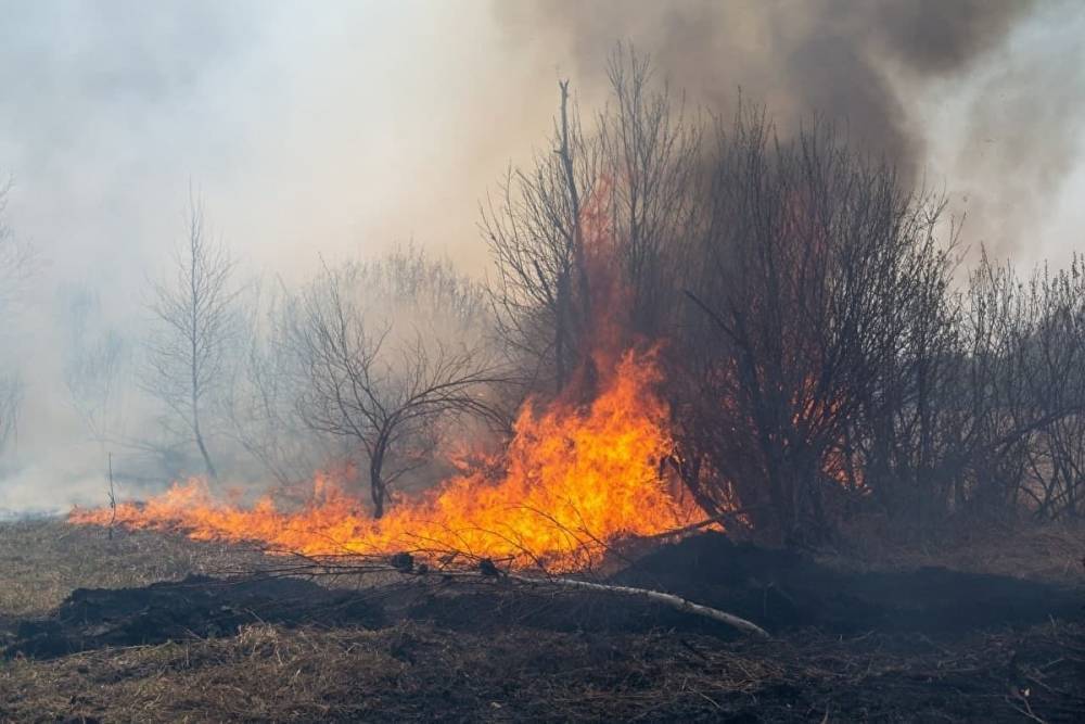 В Тюменском районе горит 2 тыс. гектаров леса