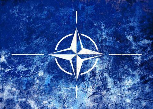 Украина приостанавливает программу вступления в НАТО