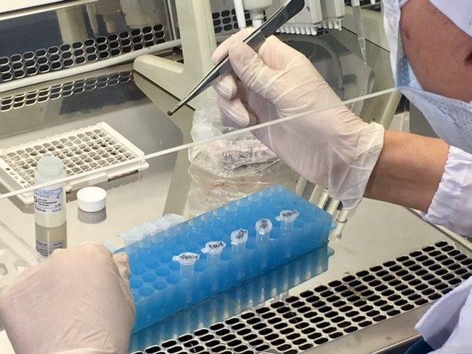 22 инфицированных энцефалитом клеща выявили в Нижегородской области