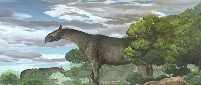 В Китае нашли останки носорога, который был выше жирафа. Он весил 21 тонну и жил 26,5 млн лет назад