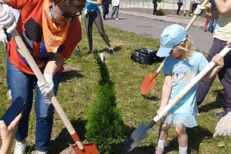 В Гатчине высадили аллею славы медработников