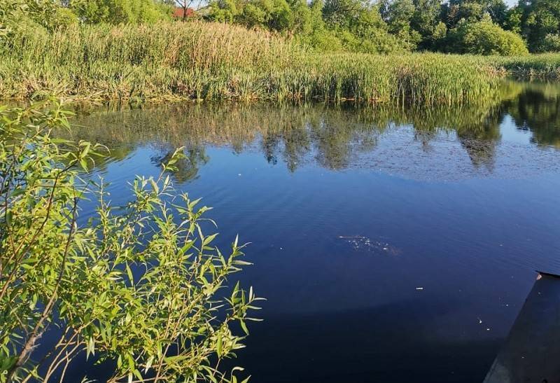 Еще один пруд расчистят в Липецкой области в 2021 году