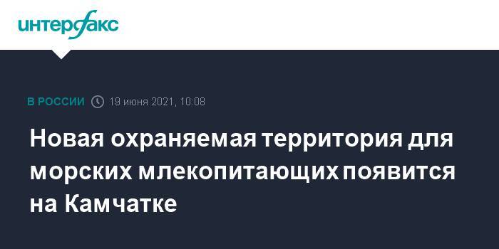 Новая охраняемая территория для морских млекопитающих появится на Камчатке