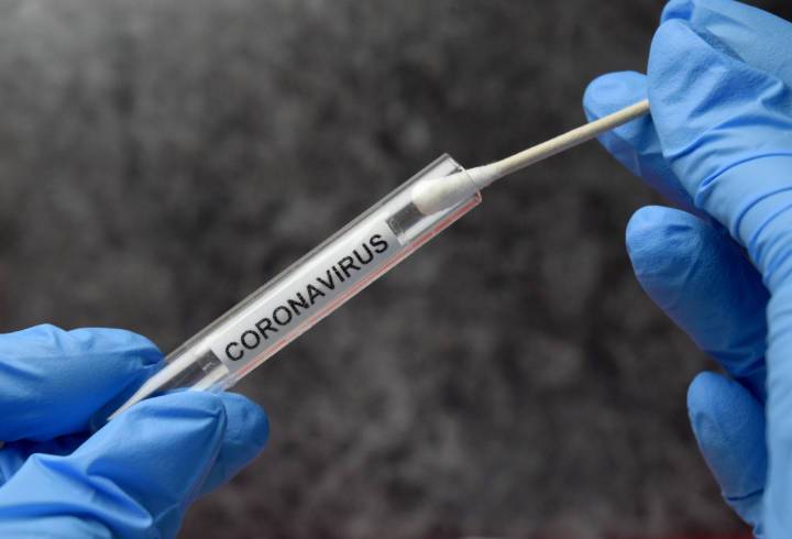 Более 43 тыс. человек сдали тест на коронавирус в Петербурге за минувшие сутки
