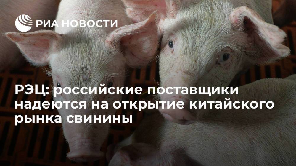 РЭЦ: российские поставщики надеются на открытие китайского рынка свинины