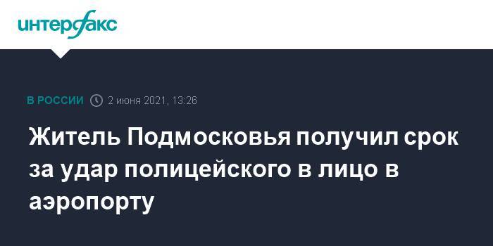 Житель Подмосковья получил срок за удар полицейского в лицо в аэропорту