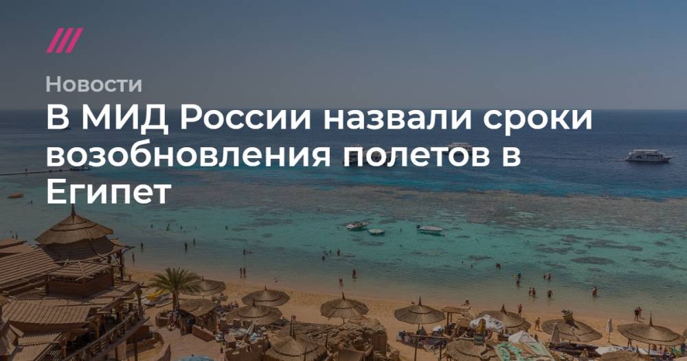 В МИД России назвали сроки возобновления полетов в Египет