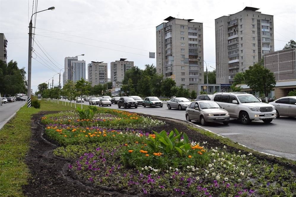 Более 160 цветников высадят в Ульяновске ко Дню России
