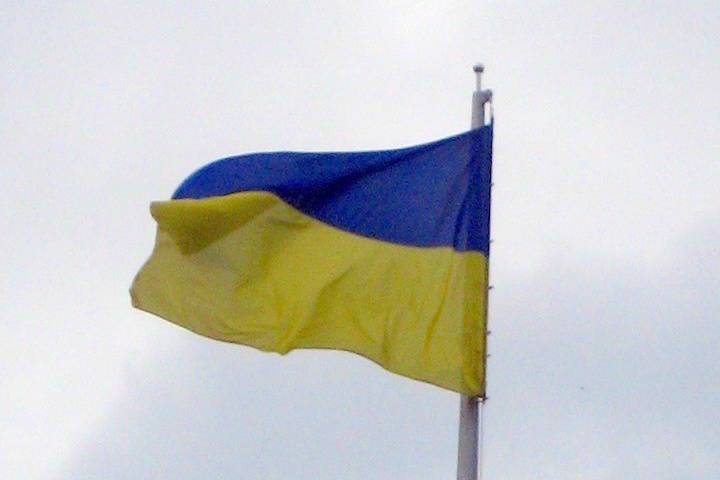 Украина рассмотрит возможность упростить получение гражданства для некоторых россиян