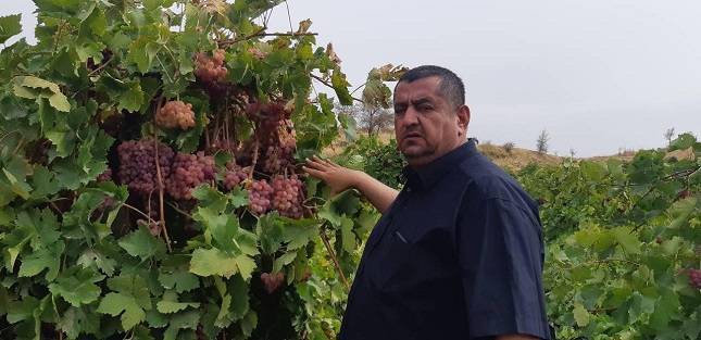 Наджабат Хайдари: Афганистан и Таджикистан должны кооперировать в сфере торговли свежими овощами и фруктами