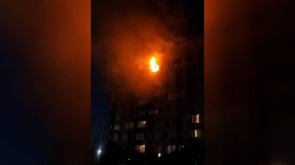 Мощный пожар в квартире под Воронежем сняли на видео