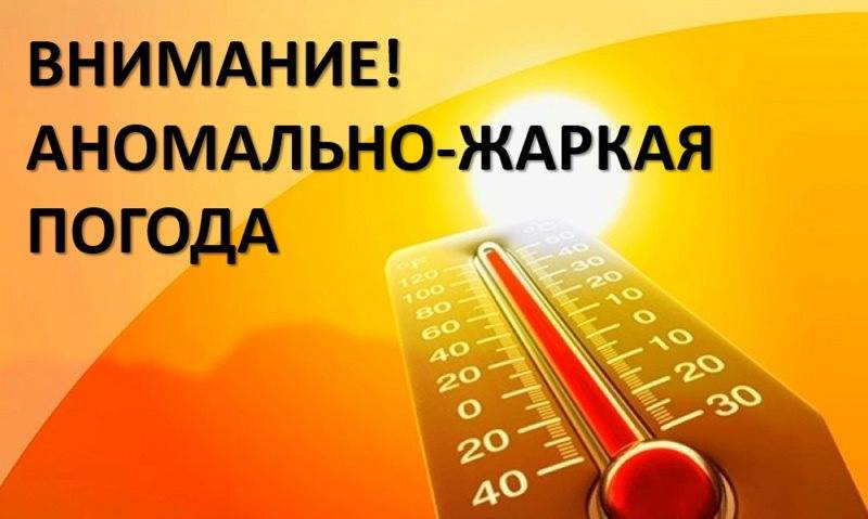 В Ульяновской области ждут опасную жару – местами до 37 градусов