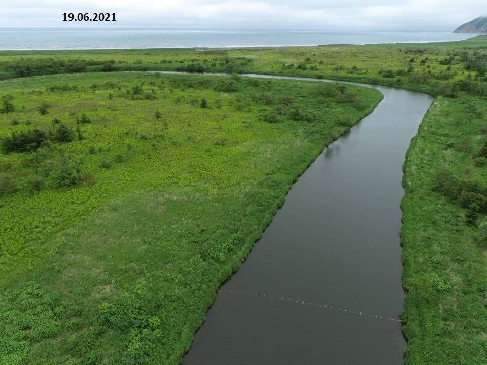 Экологи сообщают о перекрытой сетями реке Мануй