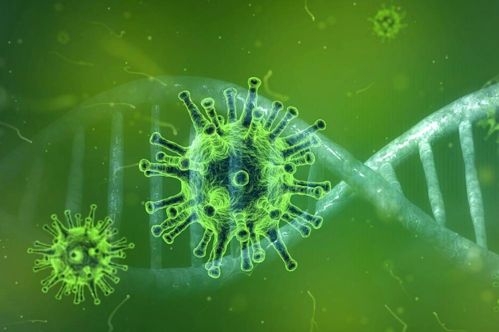 Ученые выявили способность коронавируса менять клетки крови