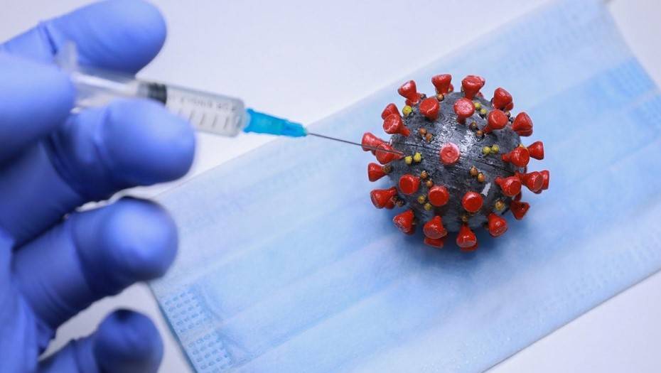 Жителей Новгородской области не пустят на работу без прививки и антител