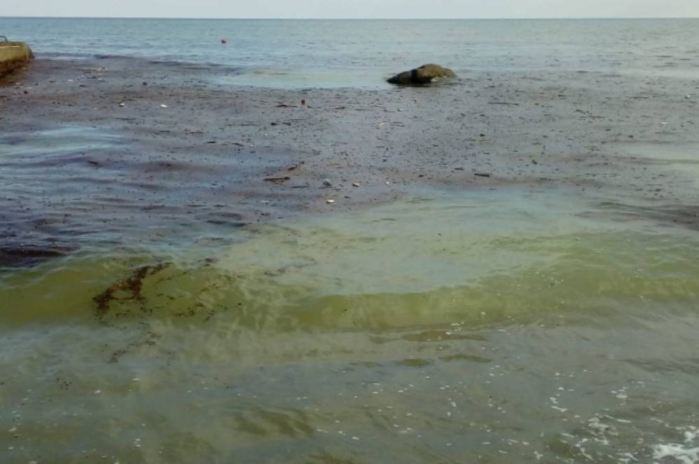 Море около Ялты проверят на холеру после наводнения в Крыму