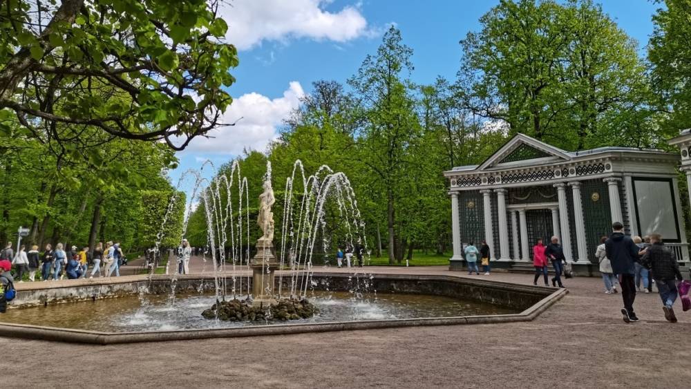 Водоканал Петербурга просит горожан воздержаться от купания в фонтанах