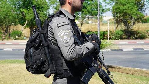 Полицейским в Израиле дали больше прав на использование дубинок