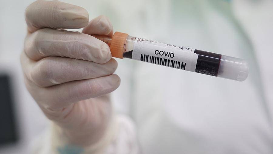Ученые назвали людей с наибольшим количеством антител к COVID-19