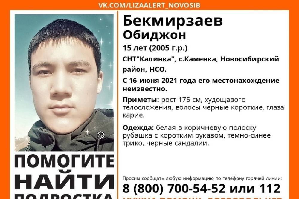 Подросток в полосатой рубашке без вести пропал под Новосибирском
