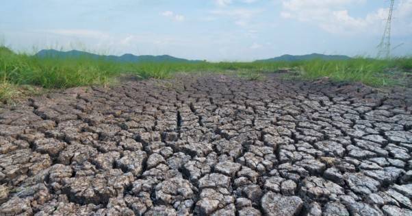 Украина имеет самые высокие риски засухи среди всех стран мира — исследование