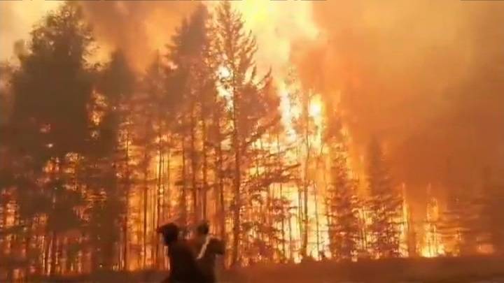 Лесные пожары угрожают 14 российским регионам