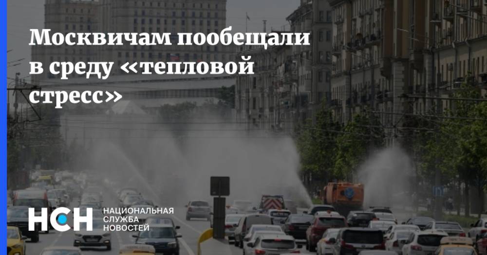 Москвичам пообещали в среду «тепловой стресс»