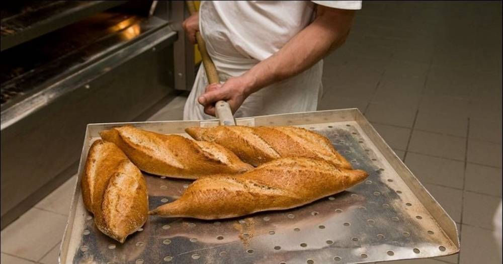 Хлебный дар. Как японская айтишница придумала домашнюю хлебопечку