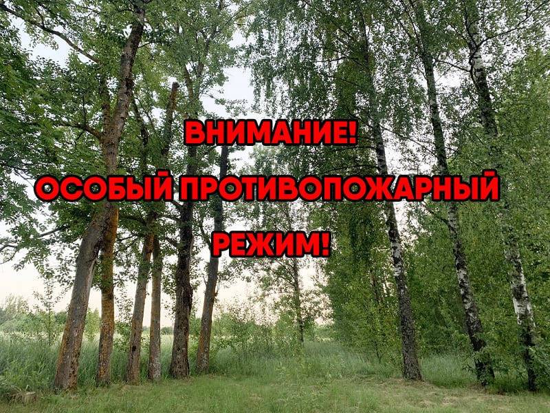 На территории Шумячского района Смоленской области установлен особый противопожарный режим