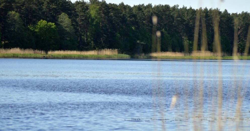 Температура воды в латвийских реках бьет рекорды