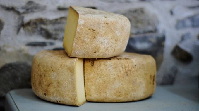 Суд Петербурга запретил сайт с итальянскими сырами