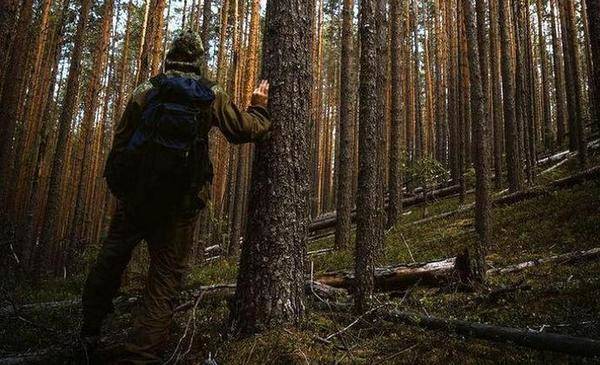 В Тюменской области ищут человека, который несколько дней назад пропал в лесу