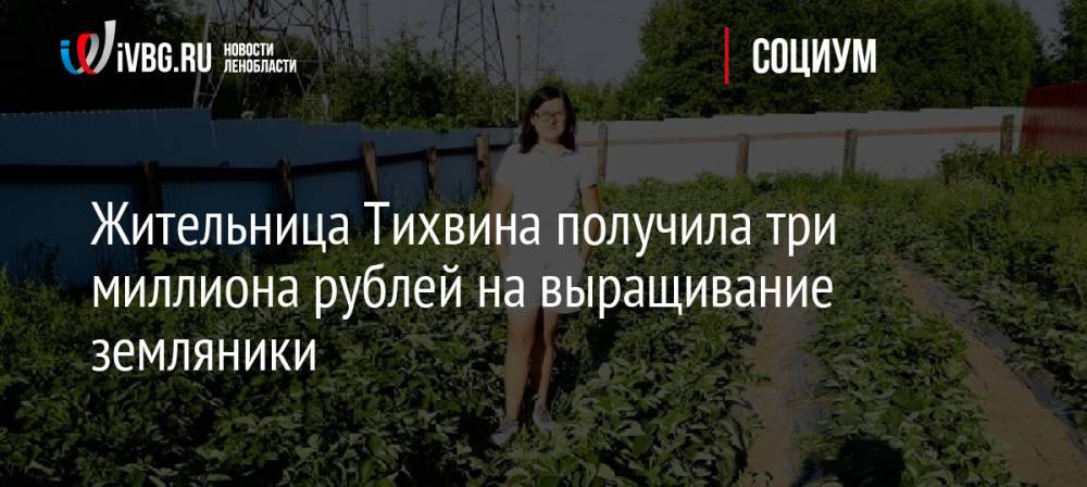 Жительница Тихвина получила три миллиона рублей на выращивание земляники
