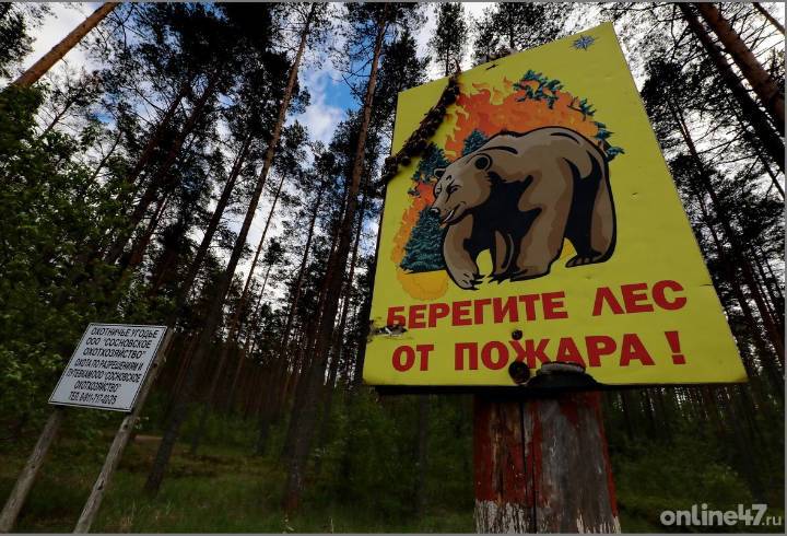 В МЧС предупредили о высоком классе пожароопасности леса в Ленобласти