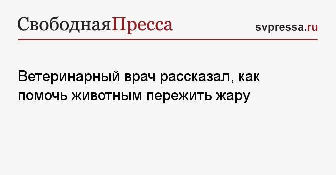 Ветеринарный врач рассказал, как помочь животным пережить жару