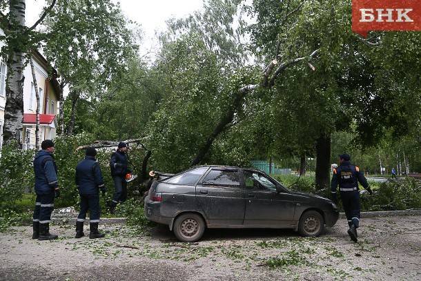 Спасатели предупредили о шквалистом ветре в Коми